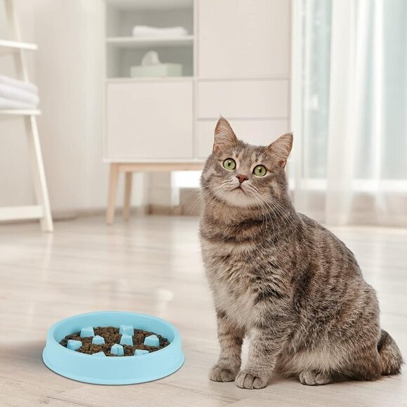 Slow Feeder for dogs or cats / Anti Choking Pet Bowl / Blue - Picture 1 of 6